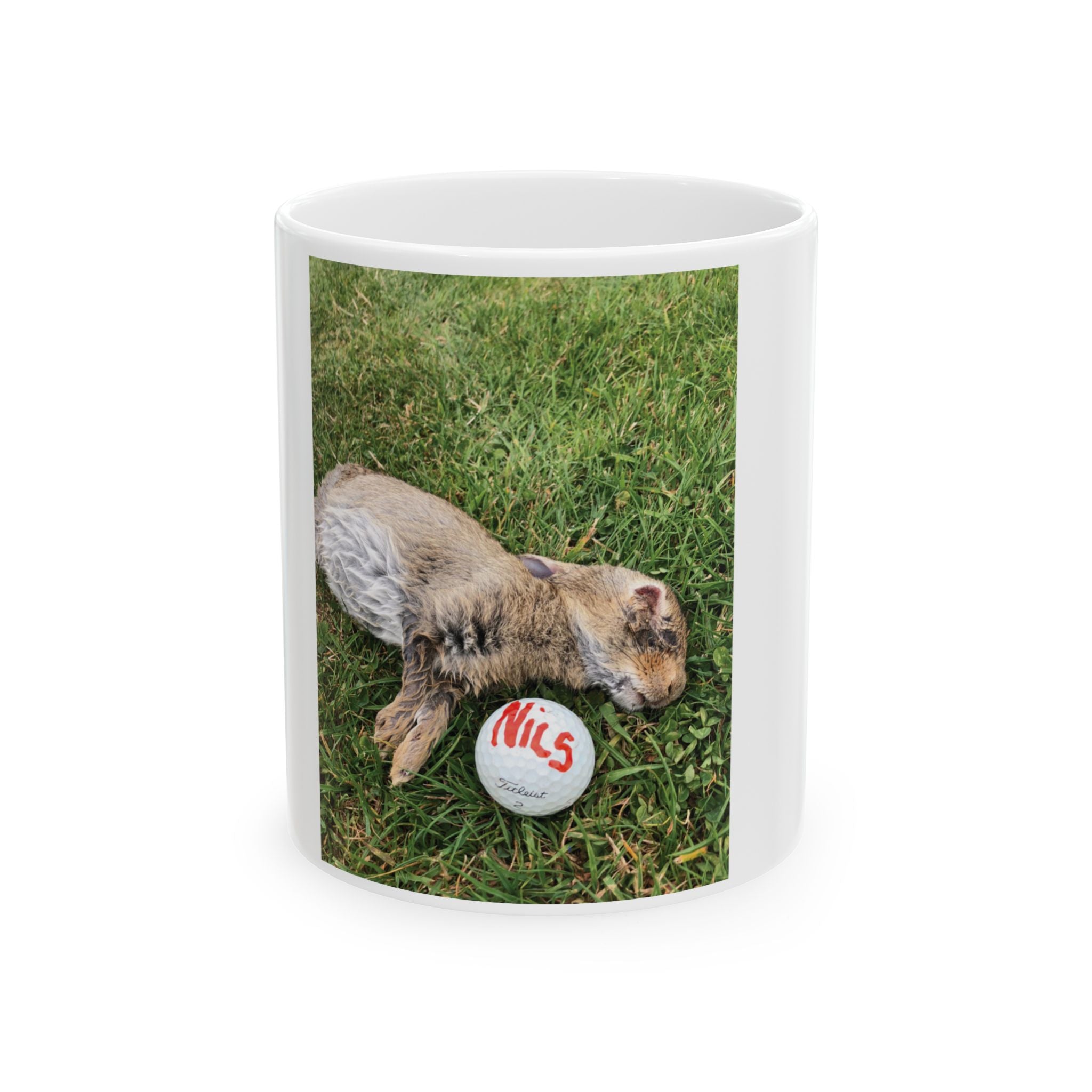 Mug "C'est malin Nils !"